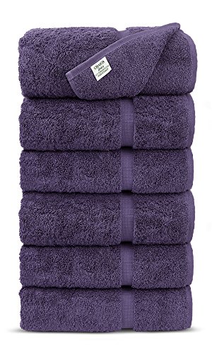 Luxury Hotel & Spa 100% Turkish Cotton Hand Towel (Plum, Set of 6)