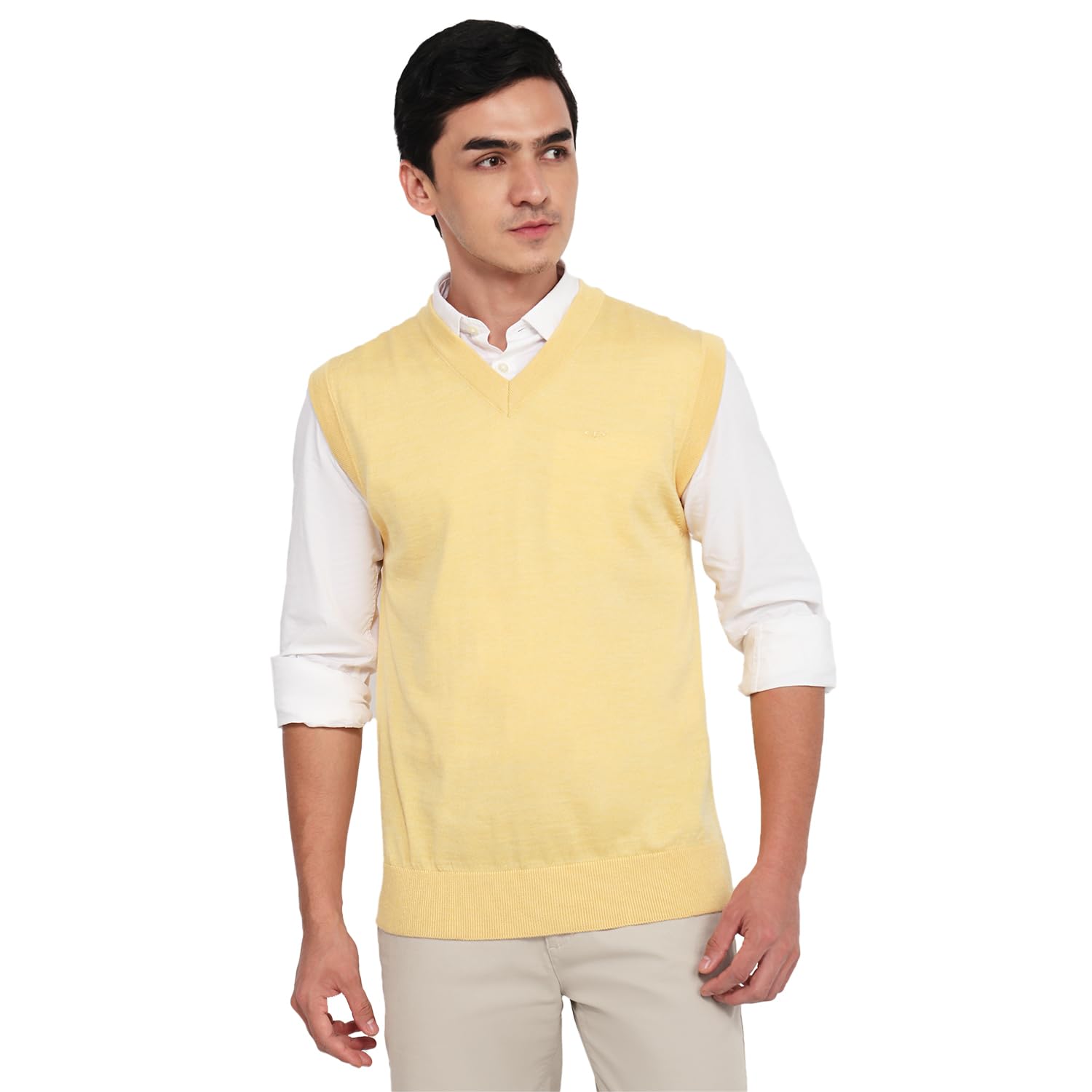 colorplus Men Regular Fit Plain Pattern Marino Wool Acryalic Blend Sleeveless V Neck Casual Sweater-picture-41