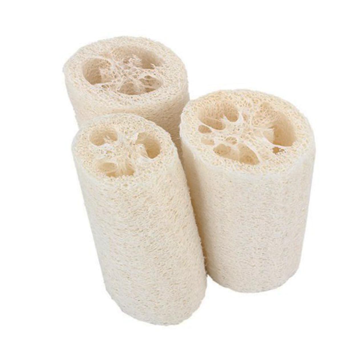 FRCOLOR Luffa Schwamm 15 Stk Badeschwamm Duschschwammwäscher Badeschwämme Zum Duschen Loufah Schwamm Natürlicher Schwamm Spülschwamm Badewannenreiniger Wäschesammler Weiß Badetuch Luffa