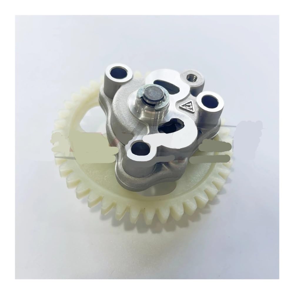 Bomba de aceite J 250 ATV JS171FMM motor de 250cc repuesto FG-610000-0 4