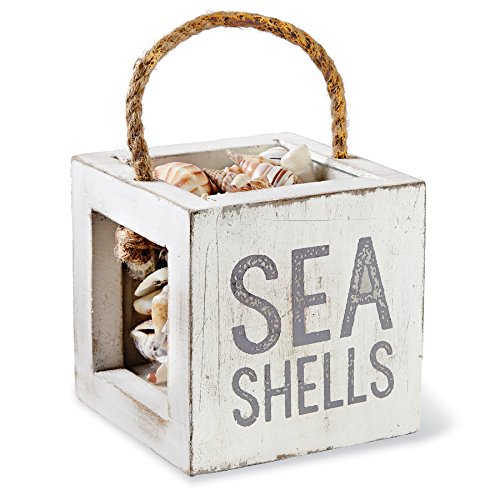 Mud Pie Mango Wood Shell Treasure Box, Sea