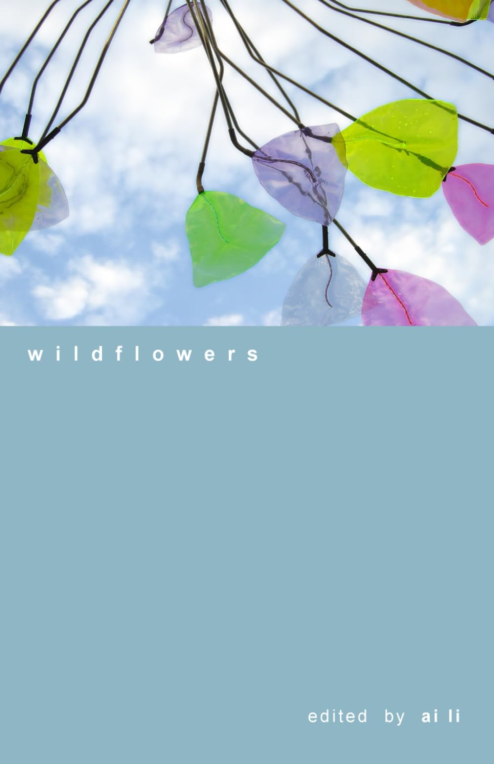 wildflowers (dua anthologies)