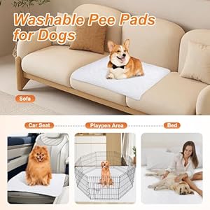 Washable-Pee-Pads-for-Dogs-2-Pack-Super-Absorbent-Reusable-Puppy-Pads-Waterproof-Dog-Playpen-Mat-Non-Slip-Whelping-Pad-for-Floor-Bed-Sofa-Washable-Bed-Pads-for-Incontinence-Elderly-Kid-34x36 - Cucciolini Doodles Washable-Pee-Pads-for-Dogs-2-Pack-Super-Absorbent-Reusable-Puppy-Pads-Waterproof-Dog-Playpen-Mat-Non-Slip-Whelping-Pad-for-Floor-Bed-Sofa-Washable-Bed-Pads-for-Incontinence-Elderly-Kid-34x36
