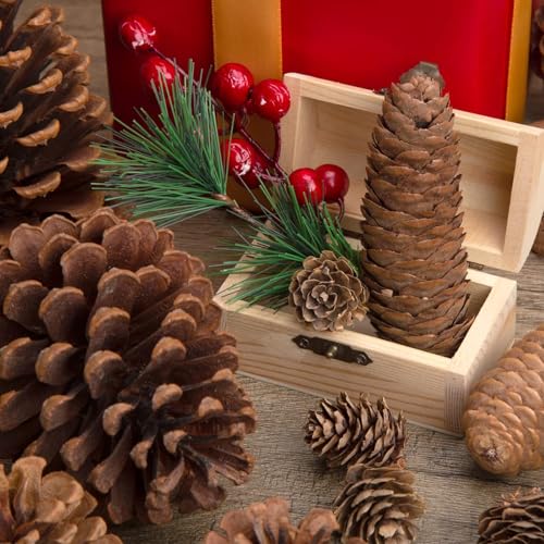 Image of 20PCS Natural Pinecone Ornaments, Pine Cones Bulk Natural Pinecones Assortment for Fall Winter Christmas Bowl Fillers (Natural)