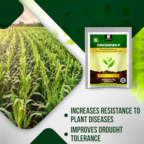 Image of OrganicDews Zinc Solublizing Bacteria Bio Fertilizer 1 Kg (5x10^7 CFU /g) for Plants - Soil Fertility, Faster Plant Growth and Increases the Yield 1 Kg