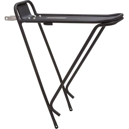 Planet Bike Eco Rack