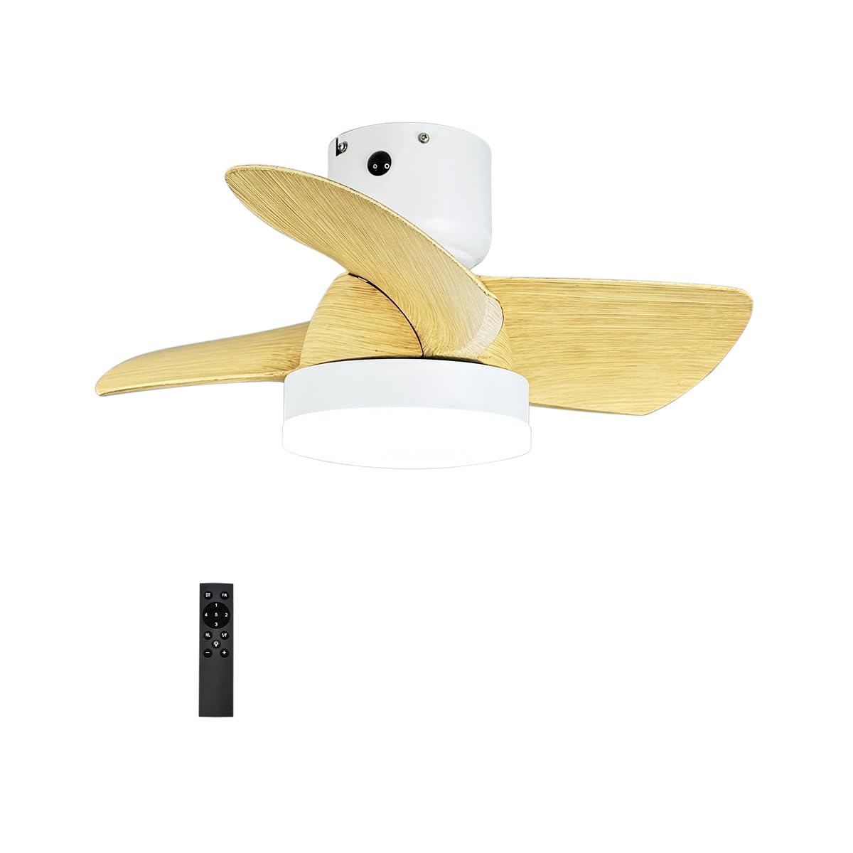 Amazon.co.jp : リュウド(REUDO) 小型シーリングファンライト エアコン