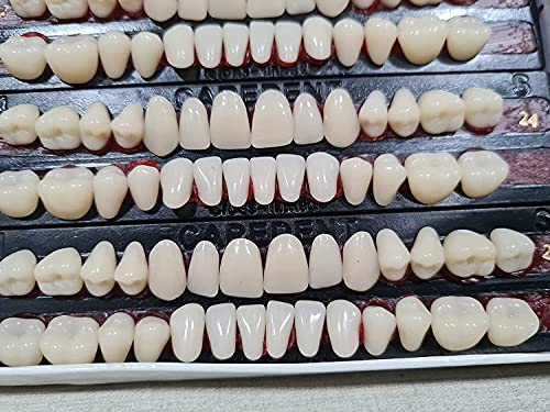 Image of Dental Acrylic Teeth Kit Shade Of Teeth 23,