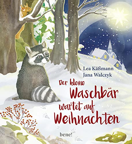 Der kleine Waschbär wartet auf Weihnachten - ein