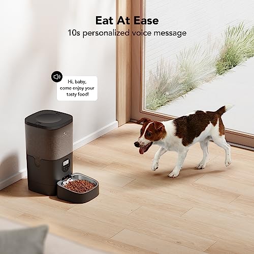Petlibro Automatic Dog Feeder, 6L Dog Food Dispenser With Customize Schedule, Dog Feeders For Large Dogs With Timer Interactive Voice Recorder, Auto Dog Feeder 1-4 Meals Dry Food, Black Transparent #TOP2