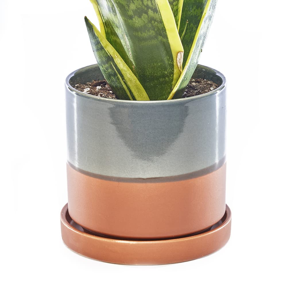 Chive Terracotta �Minute� Ceramic Planter Pot � Cute 5� Colorful Succulent Pots For Indoor & Outdoor House Plants � Beautiful Modern Farmhouse Kitchen Decor �