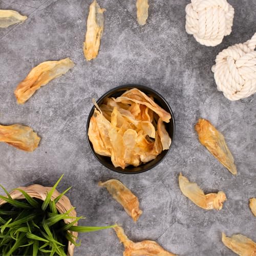 Lyra Pet® 1 kg Kaninchenohren getrocknet | Naturbelassener Kausnack | Gut verträgliches Leckerli | Ideale Proteinquelle für Hunde | Reich an Kollagen | Fettarm & nährstoffreich | Schonend getrocknet