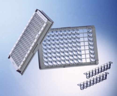 705070 Microlon 200 96 Well C8 Single-Break Strip Plate, Medium Binding, 1X8 Break-Apart C-Bottom Strips, Clear Wells, Polystyrene (Pack of 100)