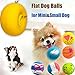 HOLYSTEED Squeaky Dog Balls Soft Latex Squeaky Dog Toy Fetch Play Balls Toy for Small Medium Pets