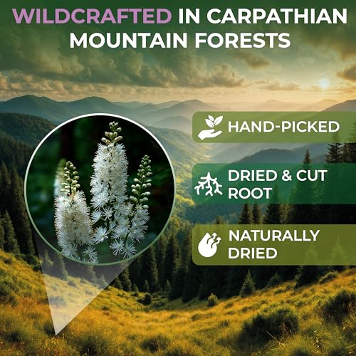 Image of 2 oz. Black Cohosh Tea Black Cohosh Root Herbal Tea (Actaea Racemosa) - 56g