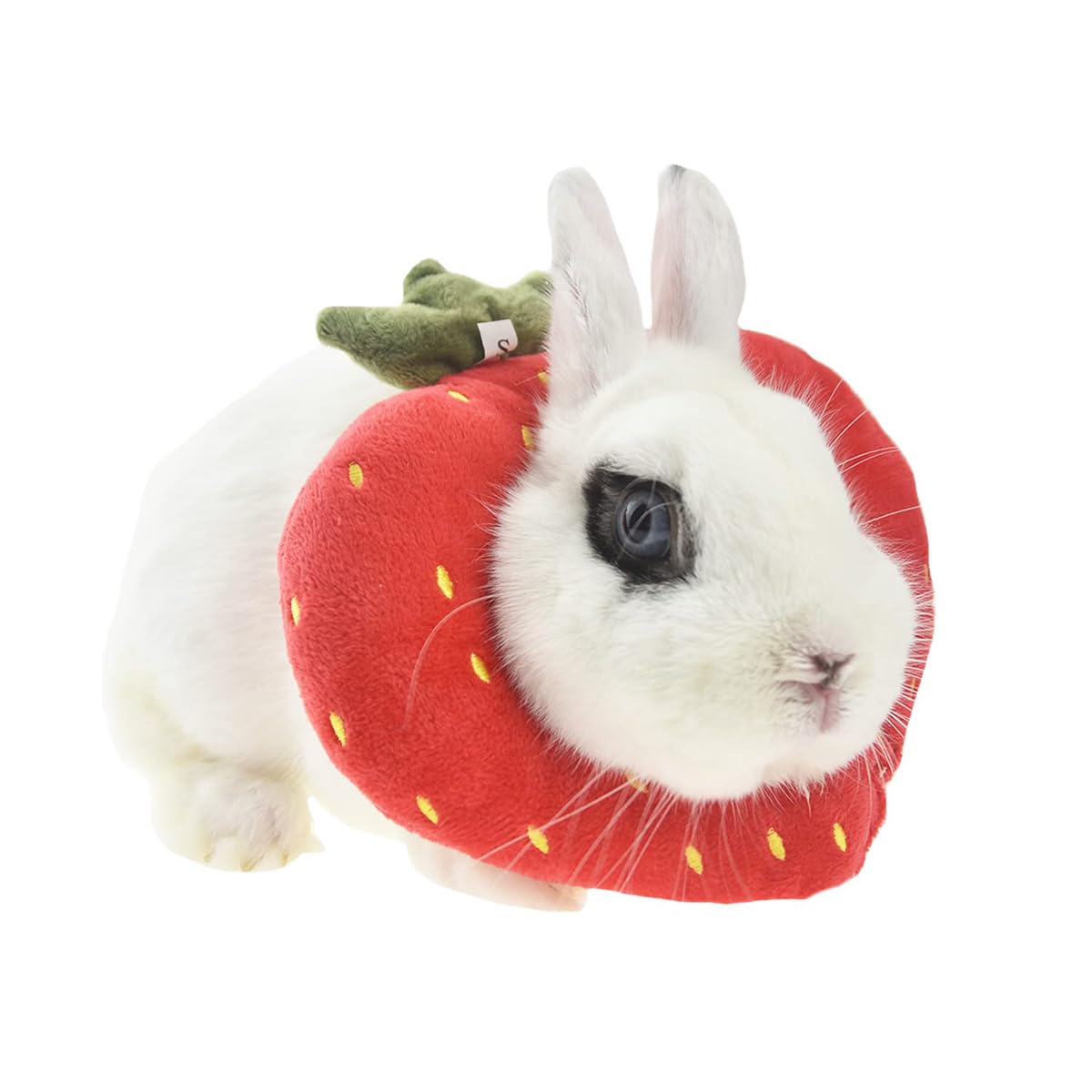 Collier de récupération pour lapin Elizabeth Cône de protection taille unique