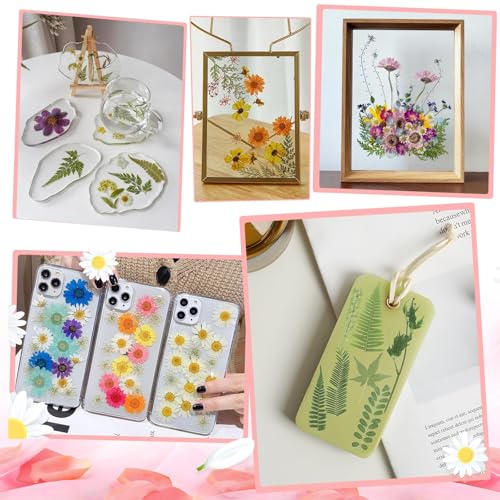 Image of 210 Pcs Dried Pressed Flowers for Resin, Dried Pressed Flowers for Crafts, Bulk Natural Dried Flowers Kit with DlY Butterfly Stickers&Tweezers for Resin Molds, Candles, Soap,Jewelry Making, Art Crafts