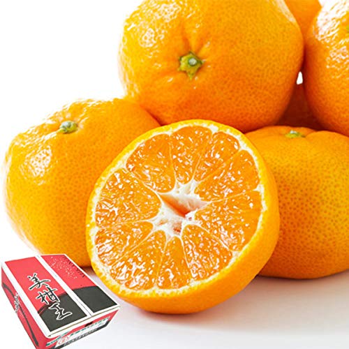 É ݂ p 5kg MLTCY 1yJAЂߓzQY xuh݂ t[c ʕ