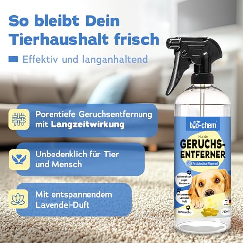 bio-chem Hunde Geruchsentferner Spray 750 ml - Enzymreiniger mit Mikroorganismen - Geruchsneutralisierer gegen Hundeurin Geruch - Entfernt Gerüche aus Sofa, Teppich, Polster nachhaltig - Made in DE