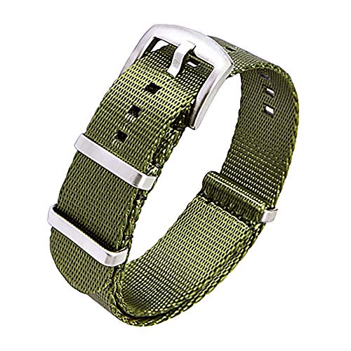 Ritche Nylon Watch Strap with Heavy Buckle 18mm 20mm 22mm Premium Seat Belt Nylon Watch Bands for Men Women