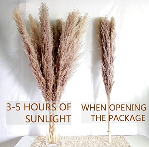 Image of Bannifll 10 PCS of 46-INCH Nature Pampas Grass - Elegant Fluffy Decor for Floor Vases. Perfect for Boho Weddings and Nature Vase Home Decor, Grey