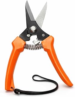Garden Pruning Shear Sharp Hand Pruner For Plants Flowers for Garden with Premium Stainless Steel Lock, Sharp Edges Tree C... Price In India
