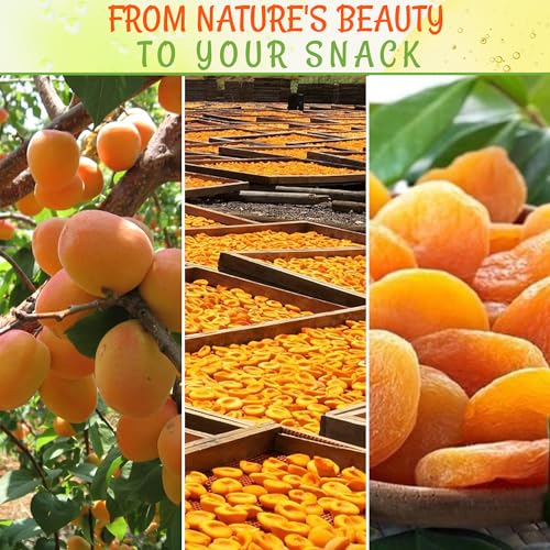 Oh! Nuts Dried Apricots Turkish | 2 Lb - Dried Fruit | No Sugar Added | Dehydrated Fruit Bites | Packed In New York Zip-Seal Bag For Exceptional Freshness By Oh Nuts thumb #3