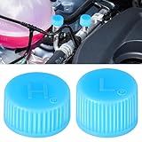 Surosha 2PCS Replacement Valve Caps for Car Air Conditioning, Car Refrigerant Caps, Leakproof R134a AC System Charging Port Dust Cover, Auto High & Low Pressure AC Covers for Most Vehicles (2PCS)