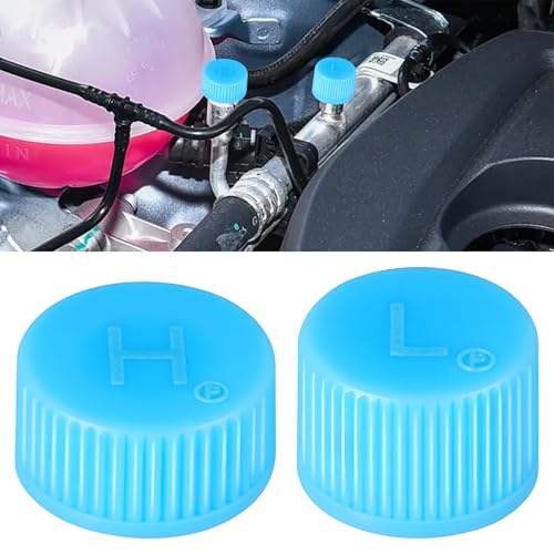 Surosha 2PCS Replacement Valve Caps for Car Air Conditioning, Car Refrigerant Caps, Leakproof R134a AC System Charging Port Dust Cover, Auto High & Low Pressure AC Covers for Most Vehicles (2PCS)