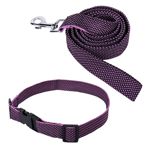 Image of Nylon Leash and Collar for Dogs with 360 Degree Rotating Clasp | Purple | Water Proof | for Medium and Large Dogs in Medium Size