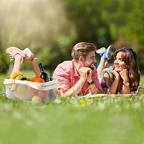 Lifuxiu Metal Mesh Steel Basket Mesh Basket With Handle，Storage Organizer Basket Fruit Vegetable Basket, Solutions For Kitchen, Garden ,Picnic,Gifts And More (White) #TOP5