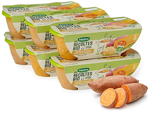  Blédina Les Récoltes Bio 12 bols Butternut Pat...