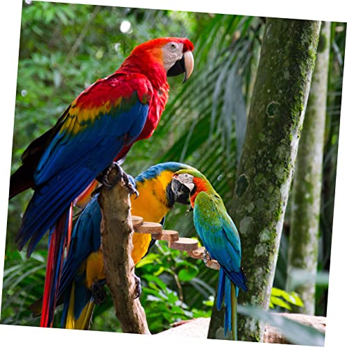 Image of Yardwe Parrot Applewood Ladder Toy for Birds Climbing Platform with Steps Convenient Cage Mount for Parakeets and Hamsters Wear Resistant and Bird Perch Accessories