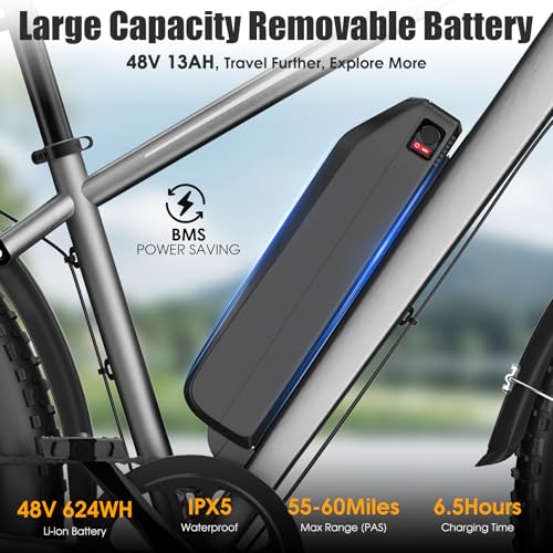 Electric Bike for Adults, 1000W Peak 25MPH 60Miles Ebike,48V