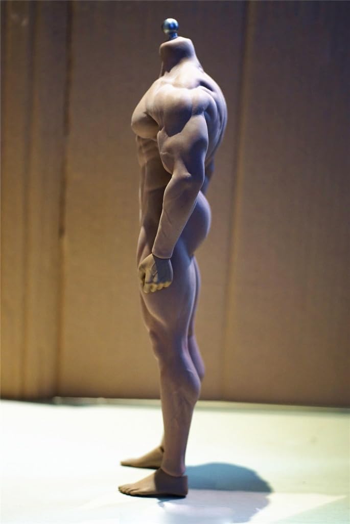Amazon.com: Lmzauet TBLeague 1/6 Scale Male Muscular Seamless Body