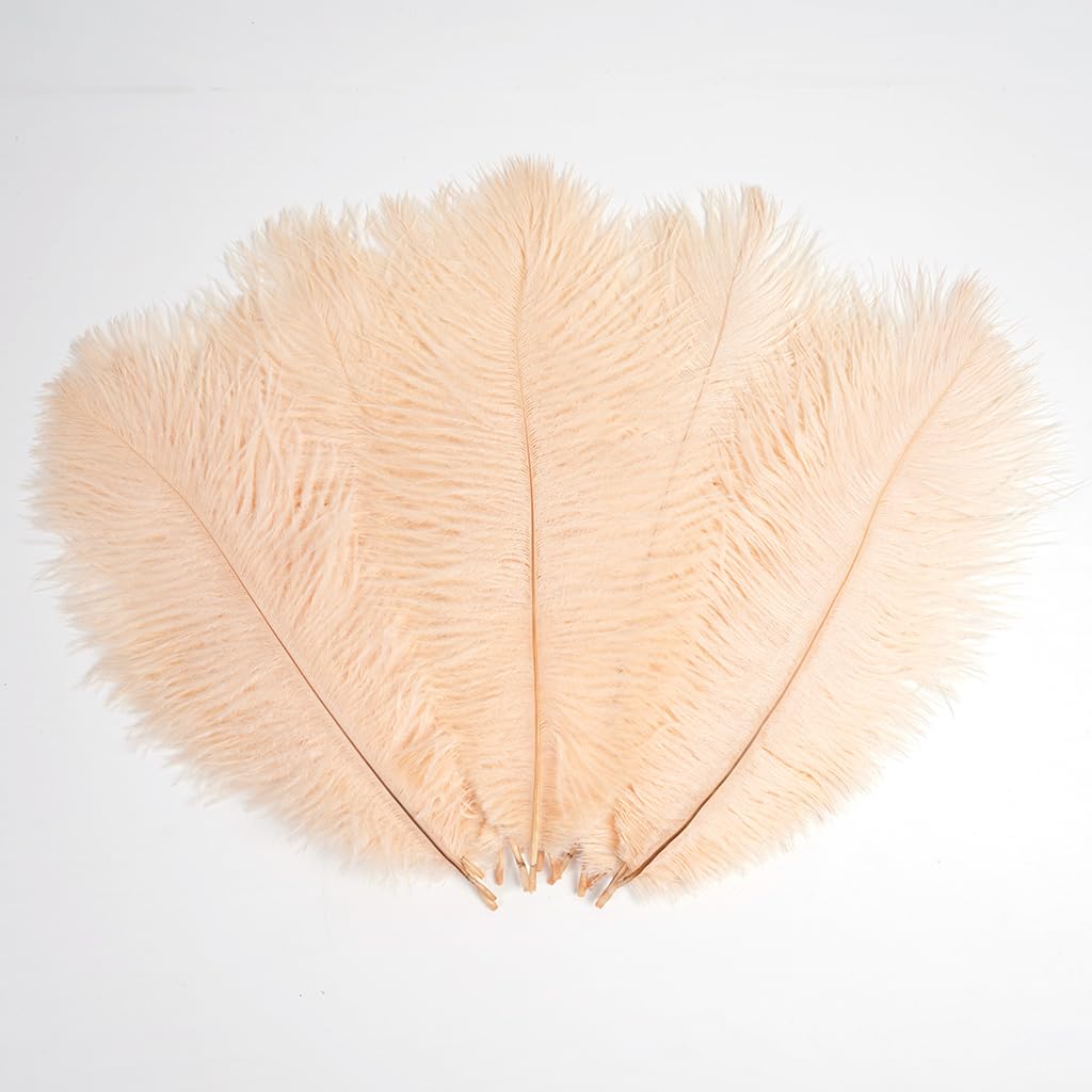LONDGEN 20pcs Champagne Natural Ostrich Feathers 10-12 inch(25-30cm) Plume for Wedding Decoration Easter Bonnets Costume Customization and Halloween Party Carnival