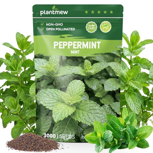 PLANTMEW 3000 Peppermint Seeds for Planting Indoors & Outdoors - Premium Non-GMO Heirloom Peppermint Plant Seeds, High Germination Herb Seeds for Home Garden