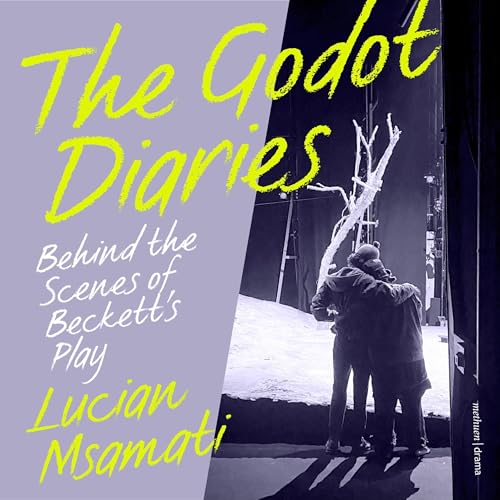 Page de couverture de The Godot Diaries