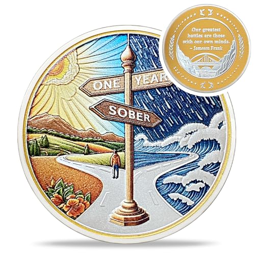 original one year sobriety coin - reborn from storm aa coins - 1 year aa chips and medallions - 1-10 years na aa celebrate recovery addicts - narcotics alcoholics anonymous gifts for men women