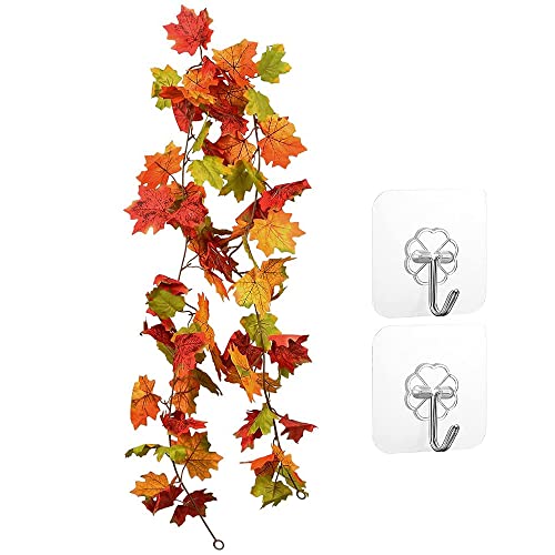 ️ Hojas De Parra Mercadona 🥇 ¡MEJOR Calidad Precio en 2022!