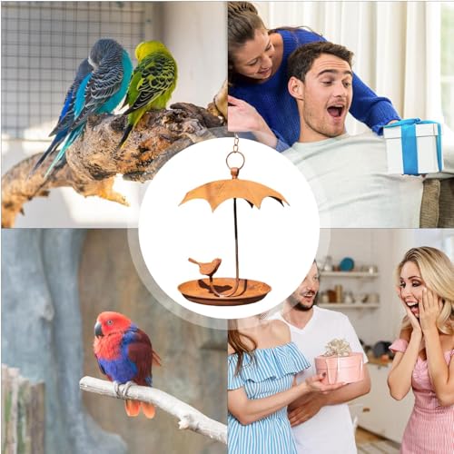 Mangeoire oiseaux extérieur en métal rouille avec toit