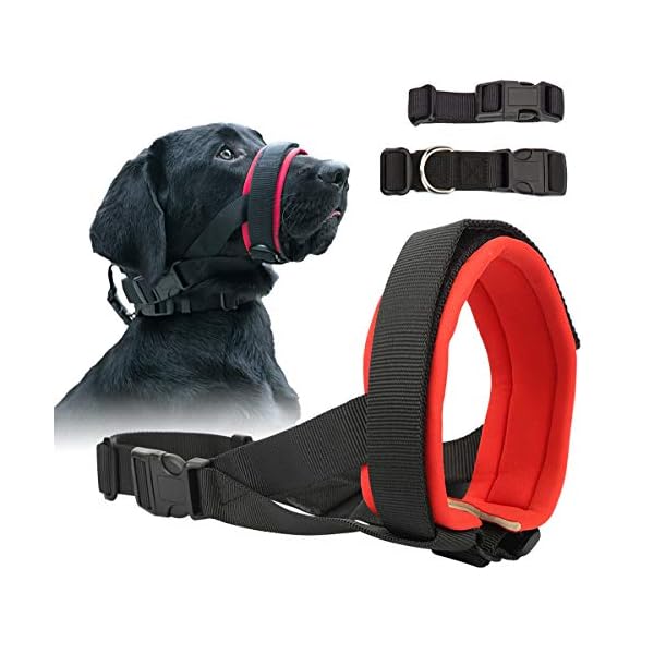 muzzle to stop biting