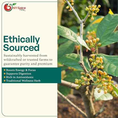 NY Spice Shop Kola Nut Powder – 3 Pound Bissy Powder – Natural African Ground – Raw Kola Nut Ground – More Effective Than Coffee & Tea – Mixes in Smoothies, Shakes & Teas