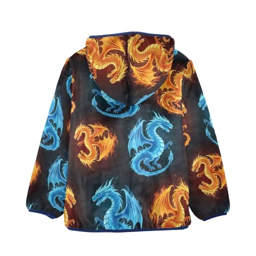 CHIFIGNO Dragons Fire Ice Boys Zip up Hoodie, Thick Lightweight Sweatshirt Jacket 3T2