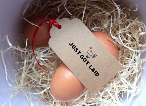 JUST GOT Laid Self Inking Rubber Stamp for use with Egg cartons. 1 1/16" x 1 13/16"