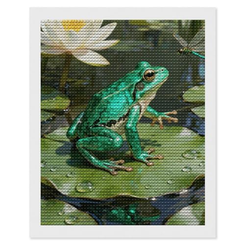 Kit d'art diamant grenouille lys maccbn idée cadeau créatif adulte pour anniversaire