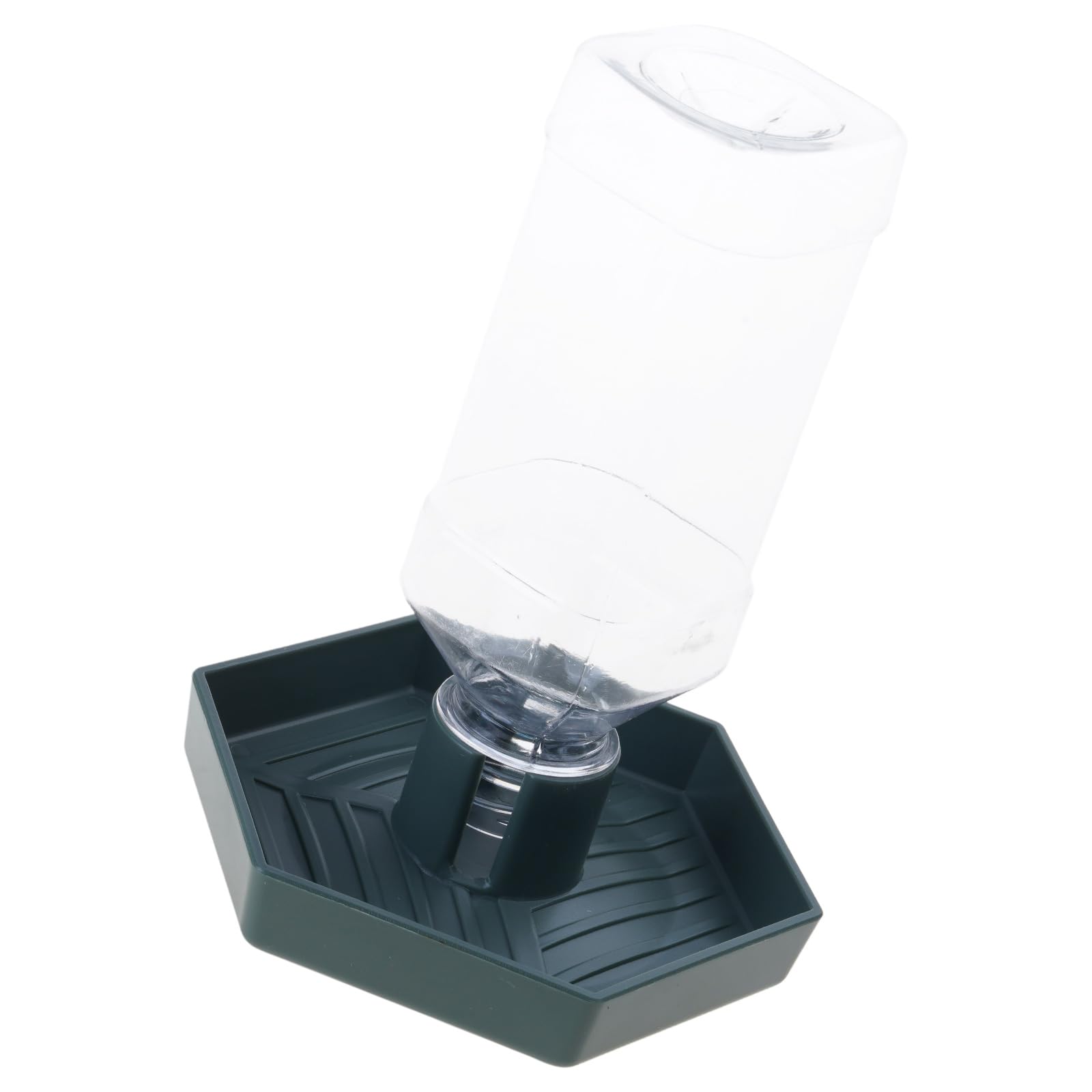 NEWFT Reptiles Water Feeder Bowl Food Feeder Water Bottle For Reptiles Pet Antislip Automatic Water Dispenser for Lizards
