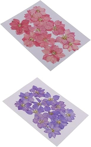 24 flores secas y secas de piel real con espuela de alondra, flores prensadas y rosas