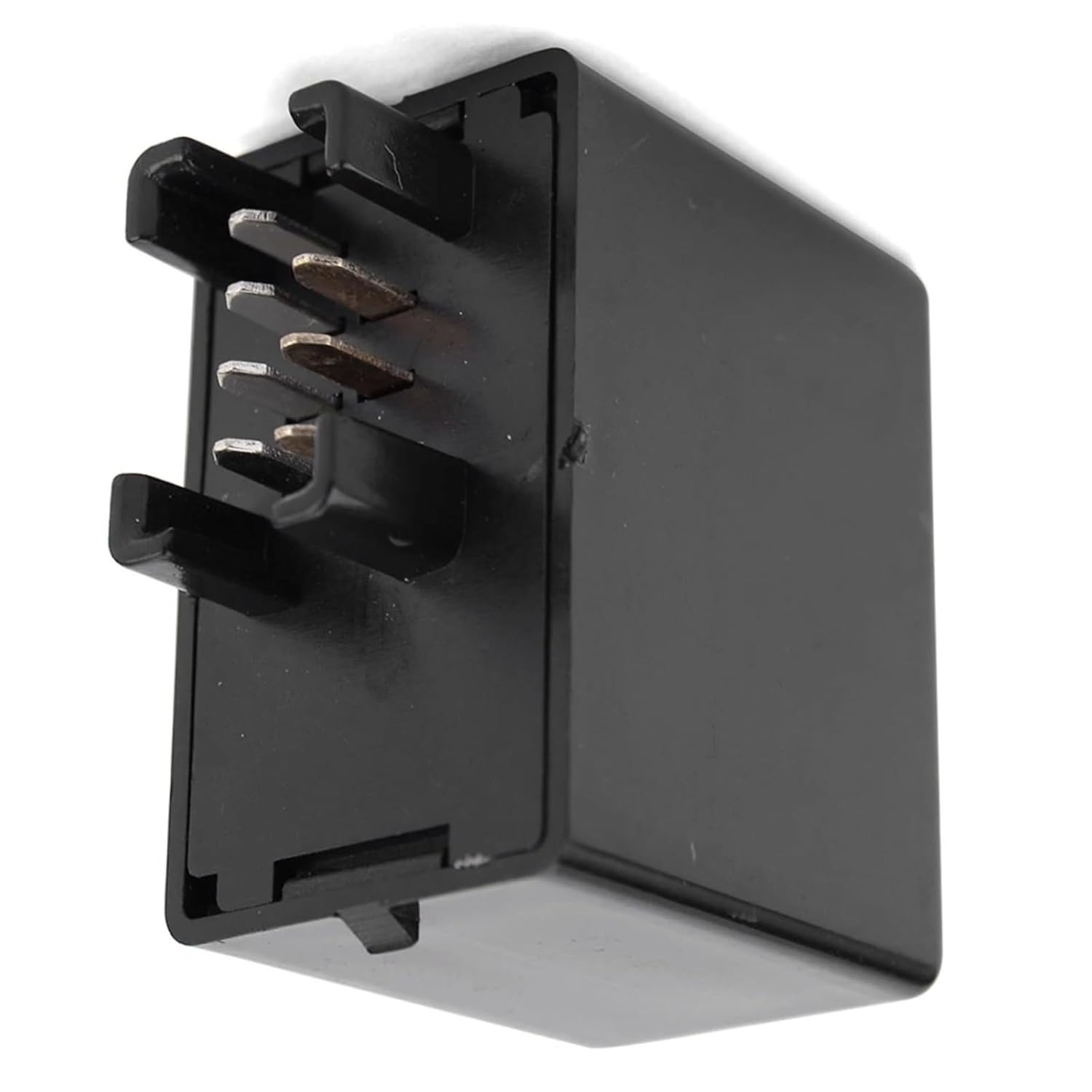 五十川昇乗 静物画 赤絵の器に果物の画 五十川頼石に師事 Yahoo