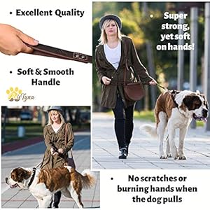 ADITYNA Heavy Duty Leather Dog Leash 6 ft x 1″ – Dog Leash for Large Dogs and Extra Large Dogs – Strong and Soft Dog Training Leash (XL – 6 ft x 1 inch, Brown)